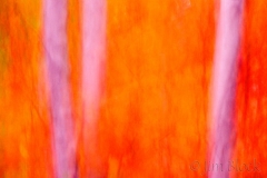 Blur