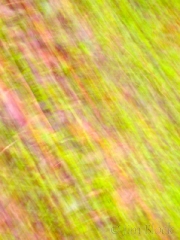 green and pink in motion