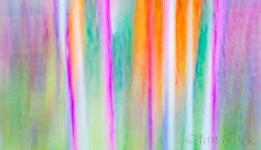 vertical lines