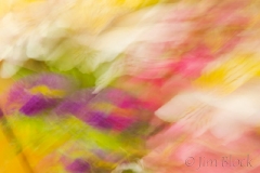 birthday-flowers-in-motion