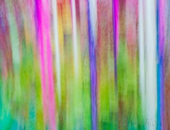 vertical colors