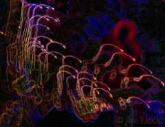 dancing lights