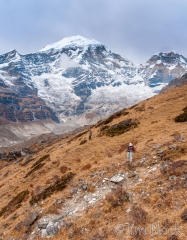 27   BHU-9452--Stephen,-Phub,-and-Mount-Jomolhari---Pan-(3)