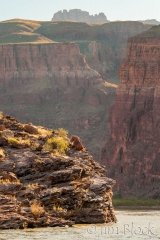 DT461A-Stephen-Contemplating