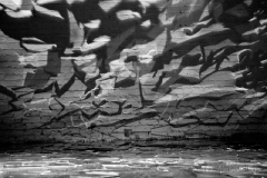 film on water