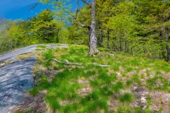 FI057-Half-Mile-Pond-Hike-Pan-4