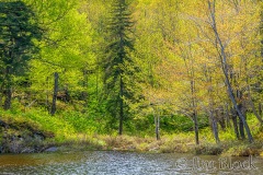 FI059C-Half-Mile-Pond-Hike