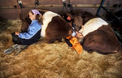 54-girls-and-calves-at-fryeburg-fair-qf3-33