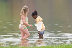 76-as438-early-may-at-post-pond-lyme