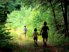 77-591-tunnel-in-the-woods