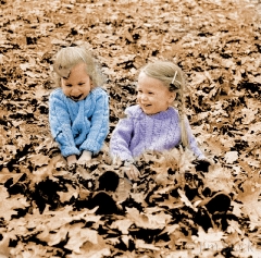 92-1374-jh-in-leaves-r64-37