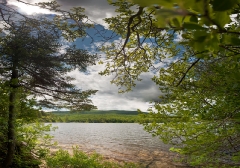cz303-lake-armington-pan