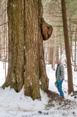 dq077a-john-obrien-at-porcupine-tree