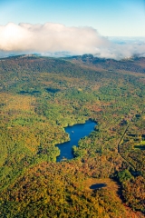 ds437f-red-leaf-pond-croyden