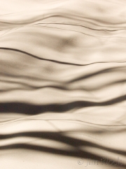 shadows-in-the-snow