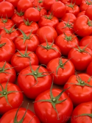tomatos-at-camden-farmers-market