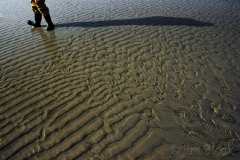 patterns-on-plum-island-beach