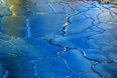 pattern-at-the-gut-south-bristol-me
