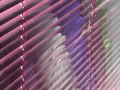 blinks at fabric store