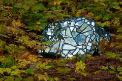 mirrors in the weeds