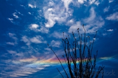circumhorizontal arc
