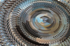 01 EK228B-leaves-rotate-multi-