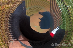 09 EK403D--rotate-multi-