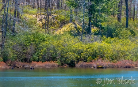 EQ412A-Indian-Pond-with-P