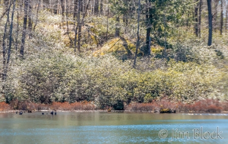 EQ412B-Indian-Pond-wo-P