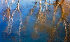 Connecticut River