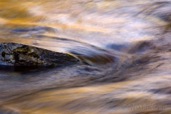 moose-river-motions