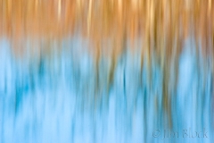 reflections-in-grant-brook-from-kayak