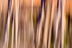 boat-launch-reflections