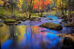 beard-brook-in-fall