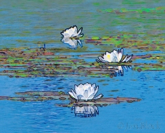 bear-pond water lilies