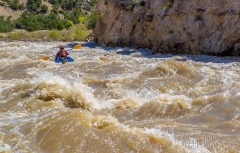 EE095-Stephen-in-SOB--_0000_EE095A.NEF