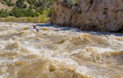 EE095-Stephen-in-SOB--_0001_EE095B.NEF