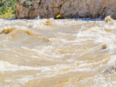 EE096-S-in-SOB_0001_EE096P.NEF