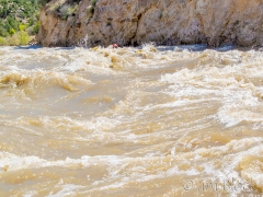 EE096-S-in-SOB_0002_EE096Q.NEF