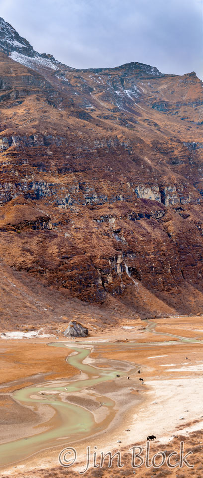 BHU-9370--Yaks-in-Paro-Chhu-below-cliff----Pan-(7)