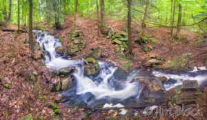 Mink Brook — hidden spots