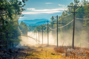 Second Half of November
