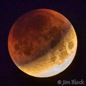 Waxwings and the Vanishing Moon