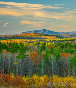 Fall turns to Stick Season